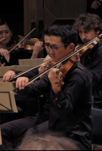 Imagen de Brahms - Sinfonía nº 1 en do menor, Op. 68 - 4