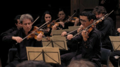 Imagen de Brahms - Sinfonía nº 1 en do menor, Op. 68 - 5
