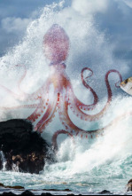 Imagen de Lo que esconde la marea - 4