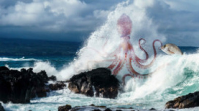 Imagen de Lo que esconde la marea - 5