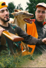 Imagen de A conejos con podencos - 4