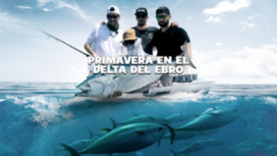 Imagen de Primavera en el Delta del Ebro - 5