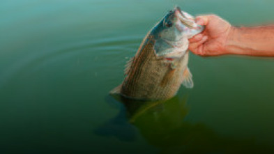 Imagen de Basses del Zumajo - 5