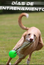 Imagen de Día de entrenamiento - 4