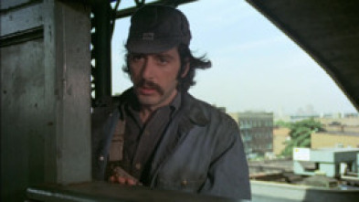 Imagen de Serpico - 12