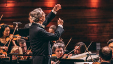 Imagen de Nielsen: Sinfonía n°. 4 - Danish National Symphony Orchestra Fabio Luisi - 7