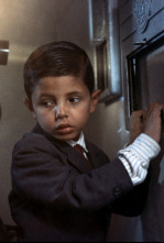 Imagen de Cinema Paradiso - 6