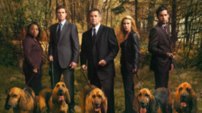 Imagen de Sin rastro (T4): Ep.10 Al caer la noche - 5
