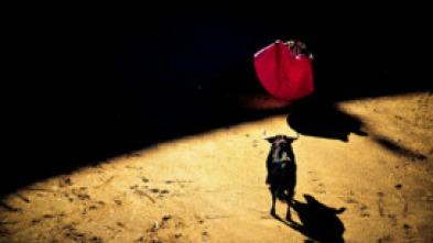 Imagen de Toros - 5