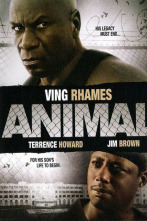 Imagen de Animal - 2