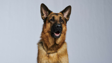 Imagen de Hudson & Rex (T1) - 5