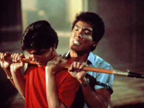 Imagen de Karate Kid II: la historia continúa - 8