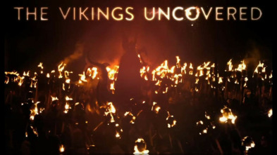 Imagen de Descubriendo a los vikingos  - 3