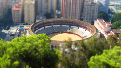 Imagen de Toros - 3