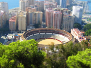 Imagen de Toros - 1