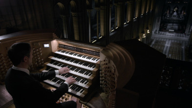 Imagen de In the Organ's Stomach - 5