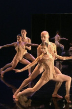 Imagen de Magifique - 4