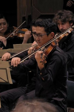 Imagen de Brahms - Sinfonía nº 1 en do menor, Op. 68 - 2
