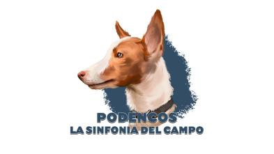 Imagen de Podencos: la sinfonía del campo - 3