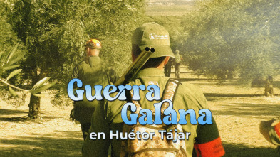 Imagen de A guerra galana en Huétor Tájar - 3