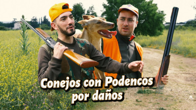 Imagen de A conejos con podencos - 3