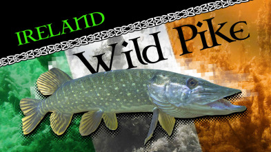 Imagen de Wild Pike Ireland 1 - 3