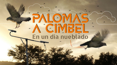Imagen de Palomas a cimbel en un día nublado - 3