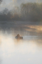 Imagen de Los primeros basses otoñales - 2