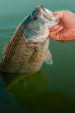 Imagen de Basses del Zumajo - 2