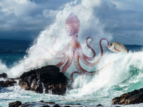 Imagen de Lo que esconde la marea - 1