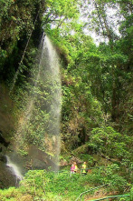 Imagen de El escarabajo verde: Sombra aquí, sombra allá - 2