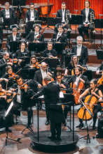Imagen de Nielsen: Sinfonía n°. 3 - Danish National Symphony Orchestra Fabio Luisi - 9