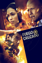 Imagen de Fuego cruzado - 5