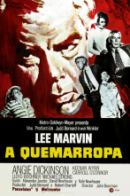 Imagen de A quemarropa - 6