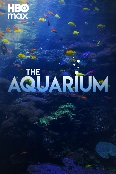 The Aquarium