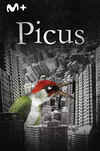Picus