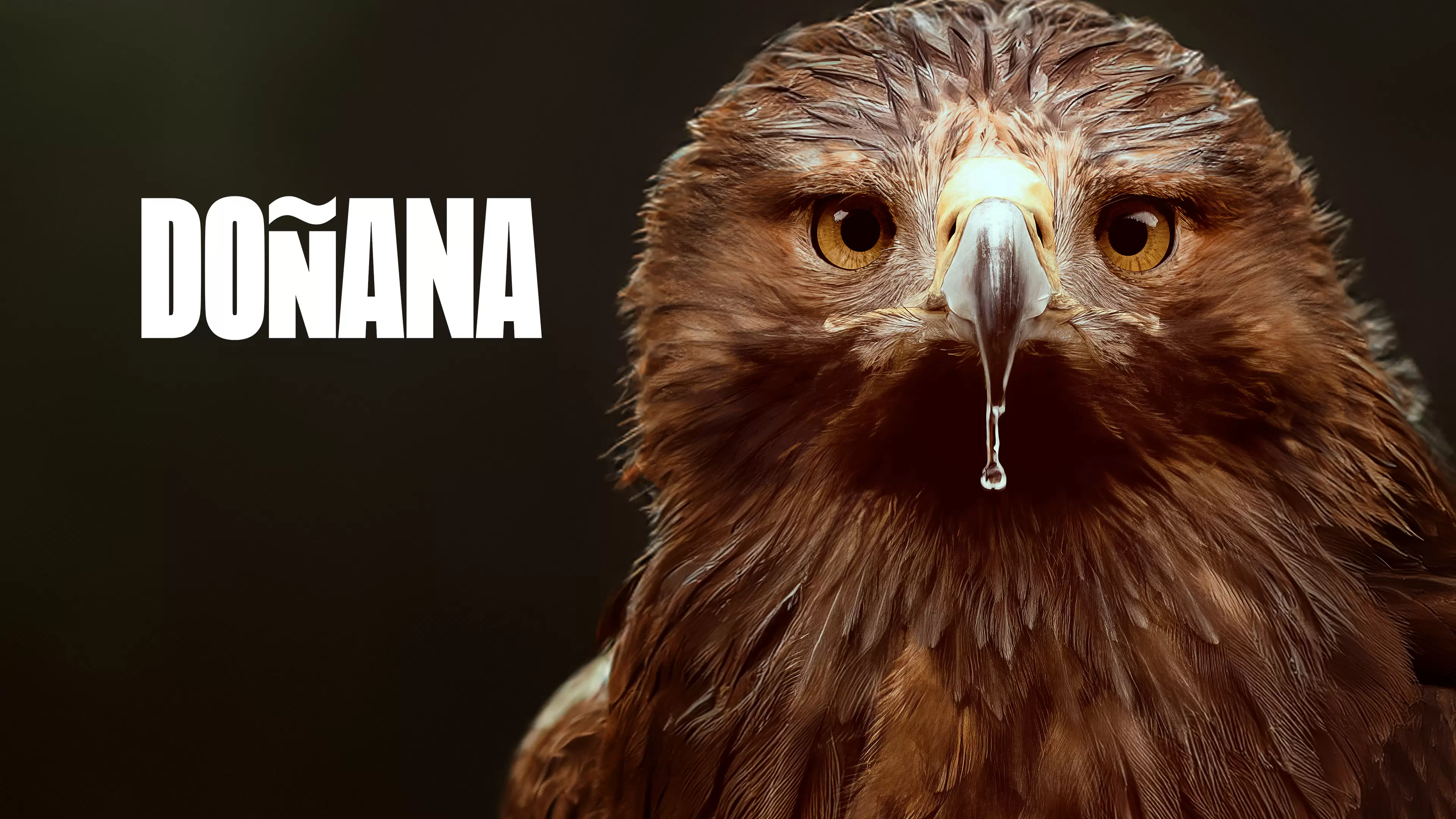 'Doñana', en Movistar Plus+ 'Doñana', en Movistar Plus+