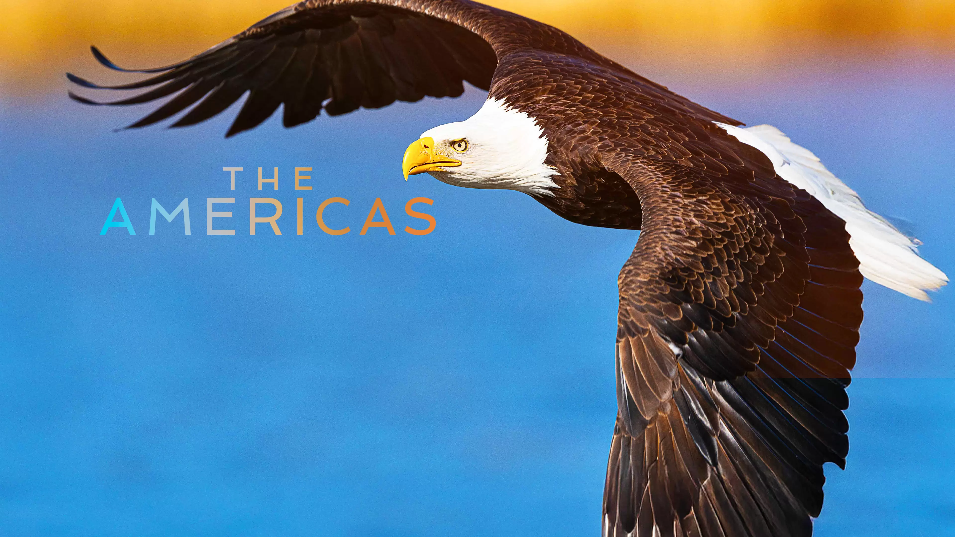 The Americas, en Movistar Plus+