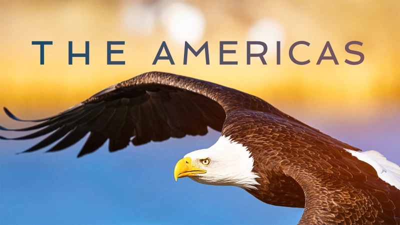 'The Americas', en Movistar Plus+