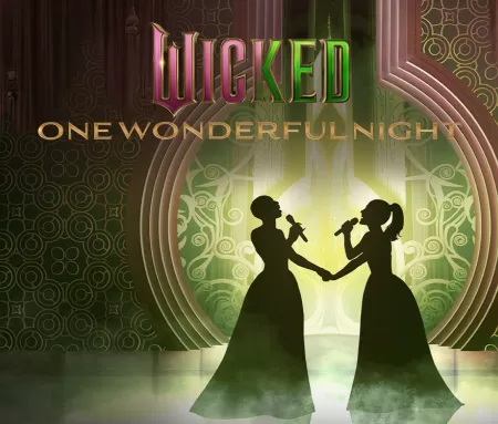 Wicked: One Wonderful Night