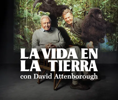 'La vida en la Tierra con David Attenborough', en Movistar Plus