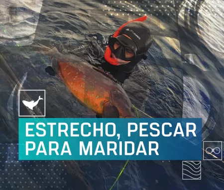 El Estrecho, pescar para maridar, en Caza y Pesca | Movistar Plus+
