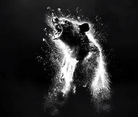 Oso vicioso en Movistar Plus+