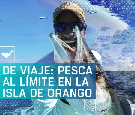 De viaje: Pesca al límite en la isla de Orango, en Caza y Pesca | Movistar Plus+