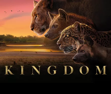'Kingdom', en Movistar Plus+