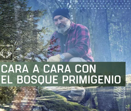 Cara a cara con el bosque primigenio, en Caza y Pesca | Movistar Plus+