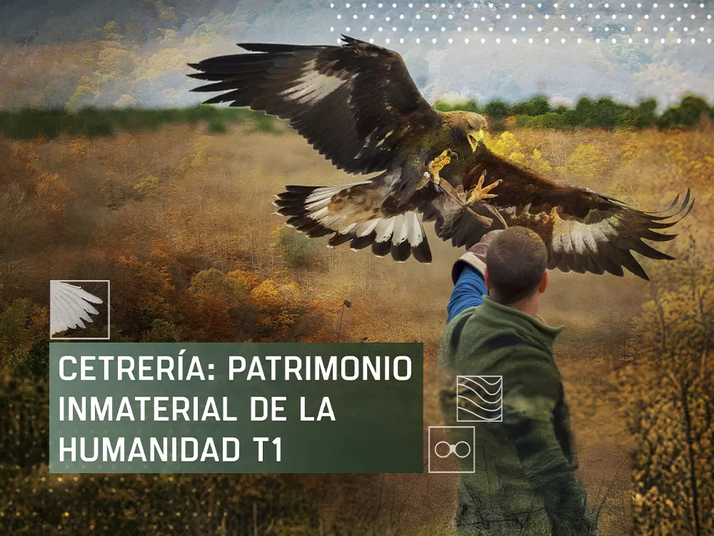 Cetrería, patrimonio inmaterial de la humanidad T1, en Caza y Pesca | Movistar Plus+