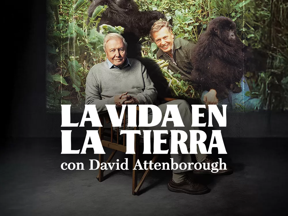 'La vida en la Tierra con David Attenborough', en Movistar Plus