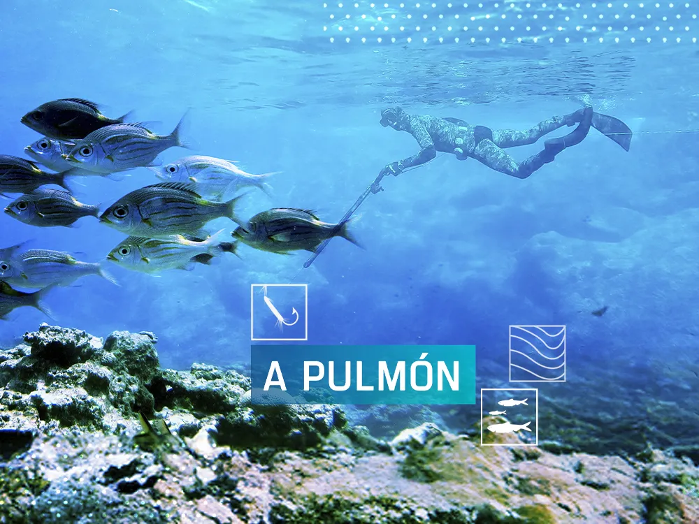 A pulmón, en Caza y Pesca | Movistar Plus+