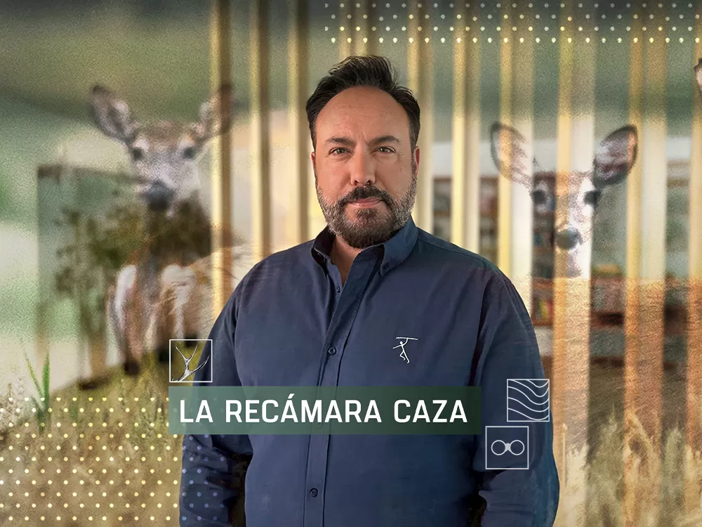 La recámara, en Caza y Pesca | Movistar Plus+
